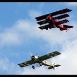 Něco, co lítá a nemá ptačí chřipku