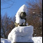 Seděl tam chudák tak sám...