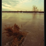 Na topole nad jezem ... (I)