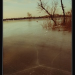 Na topole nad jezerem ...  (II)