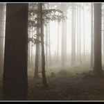 Jižní Čechy před 12ti lety