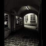 Na potulkách starou Viedňou