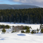 Jen taková krajinka...