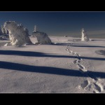 pod tíhou samoty....