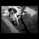 ***JDEŠ SI HRÁT?***