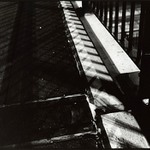 půlnoční stínohra