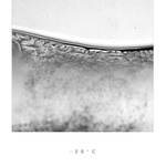 -20°C III