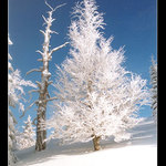 Košariska - Velká Fatra