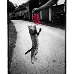 ...chůze bez bot je zdravá...