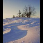 Pozdní lednové odpoledne