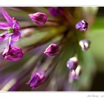 Letím za světlem II.