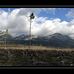 -= tatry rok po... II. =-