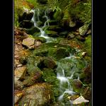 další vzpomínka....