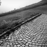  Ráno u vody v T. /2