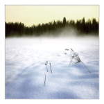 ...U Svaté Kateřiny II. ...