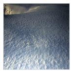 ...zimní zátiší v modrém - II. ..