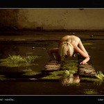 ...underground - rosnička...