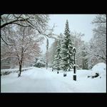 Cerstvo zasnezeny podvecer...