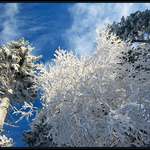 Beskydy v zimě II