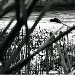 Podzimní melancholie III.