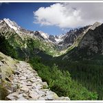 Cesta lesem mezi plesem a plesem ...