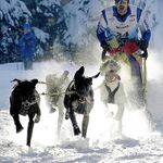 Zima, ze bys psa nevyhnal...