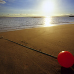 Playa de las Americas