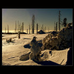 Ráno na Medvědíně