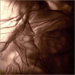 ..někdo se dívá...