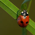 \"křižovatka\" života...