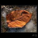 Furt mrzne a mrzne...