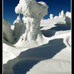 stromy v peřinách...