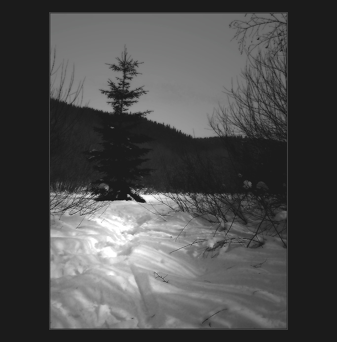  - snow country -