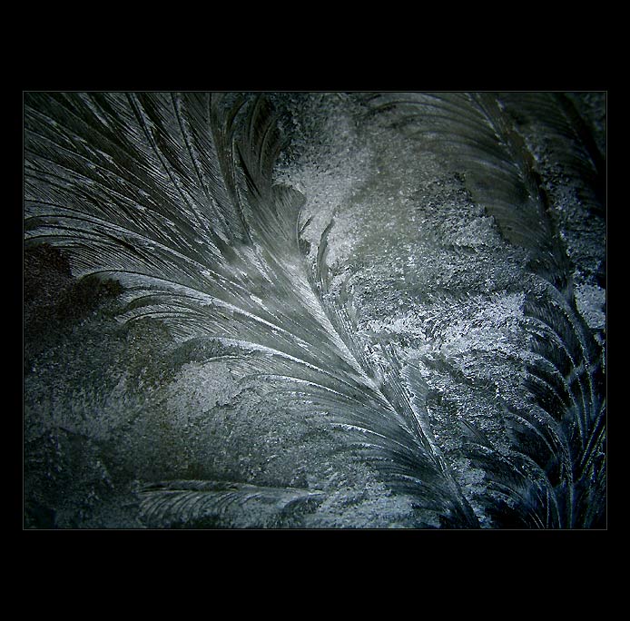  - magic winter -