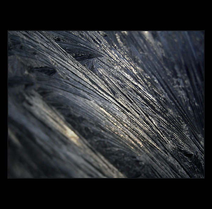 - magic winter II. -