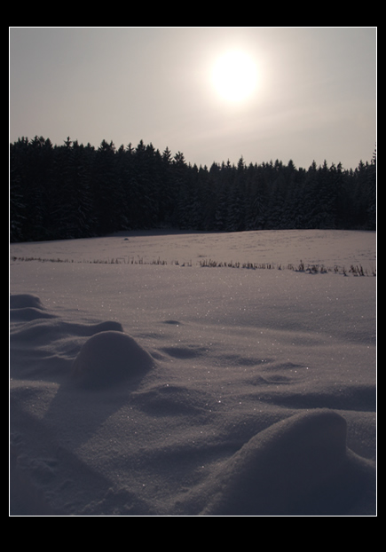 Zima