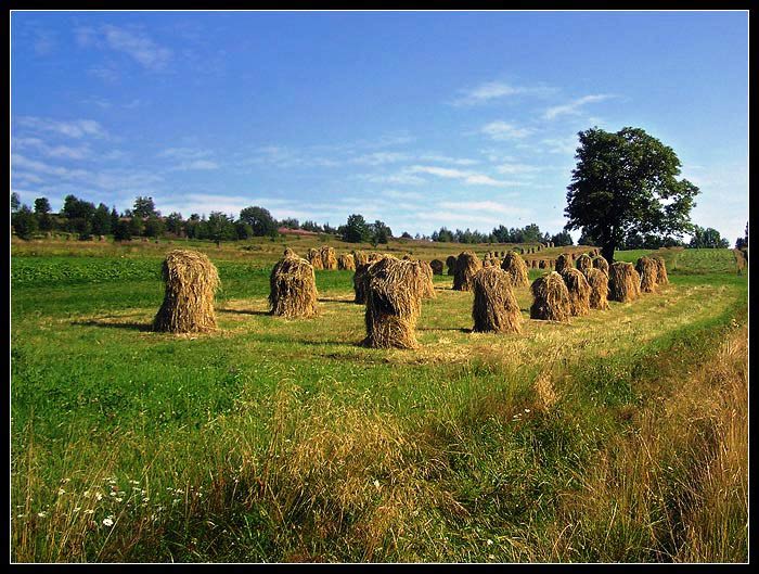 už aby tu bolo leto,alebo aspoň jar