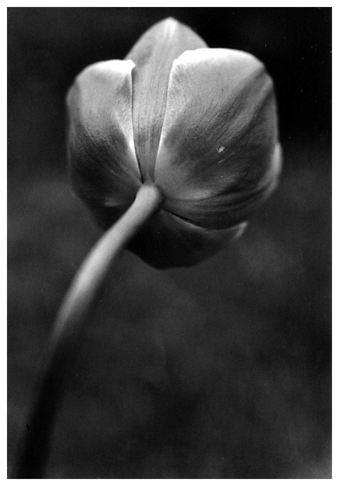 z temnoty do temnoty