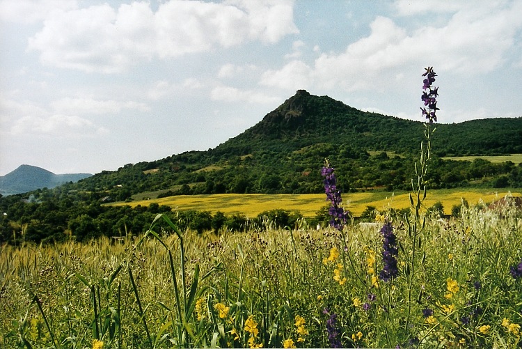 Košťálov