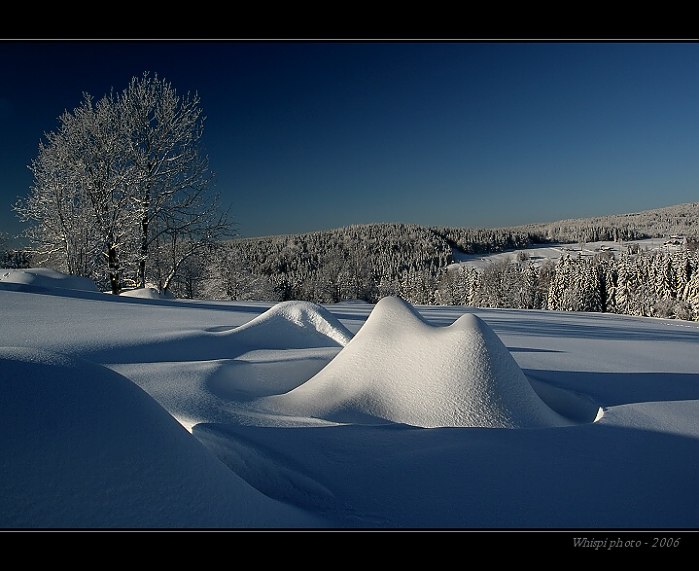 Jizerky - zapadlý velbloud :-)