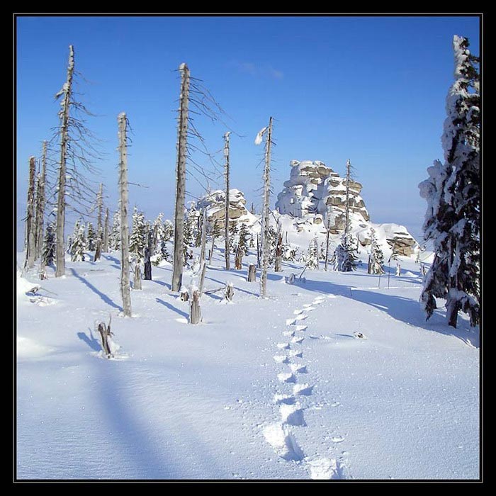 * ťap, ťap, ťap,... *