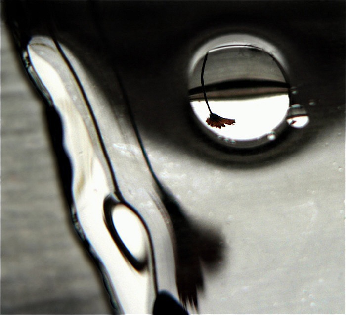 ...kapička olejová..