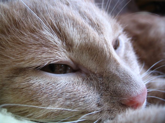 konečně se přestal hýbat