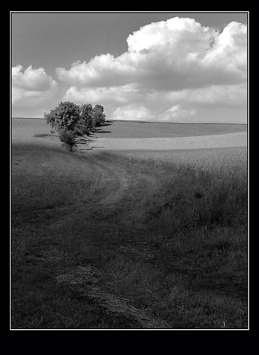 Cesty....odnikud někam? 2