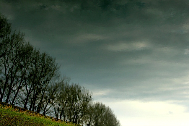 reflections II