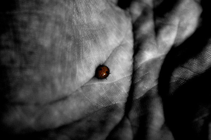 finally away from valley of darkness