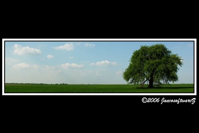 Sam v Poli...pri Olešákove