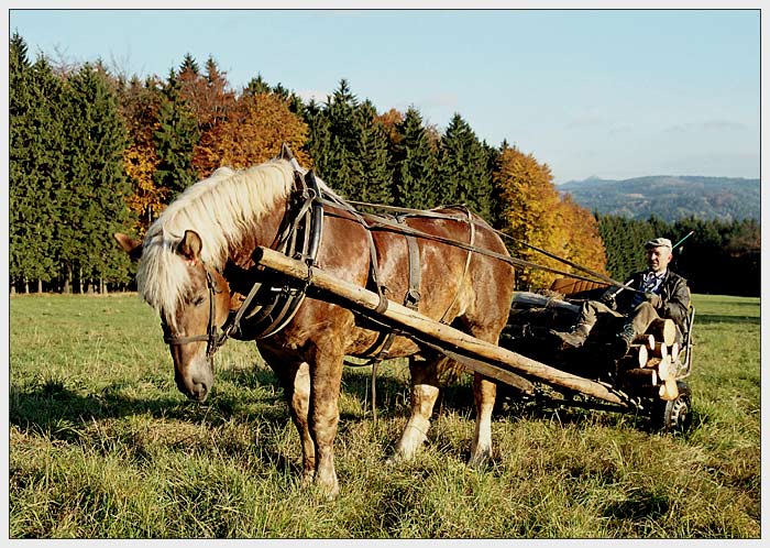 Pozdrav z Lužických hor