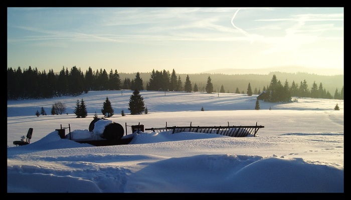 Šumava