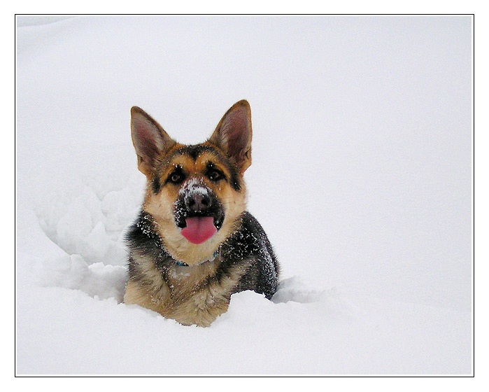 :-P